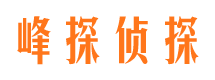 东海岛市婚姻调查